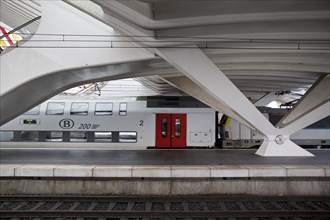 Train in Liege-Guillemins station