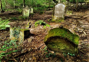 Monument zone Old Jewish cemetery in the forest