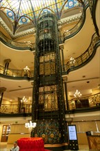 Art Nouveau interior elevator lift structure