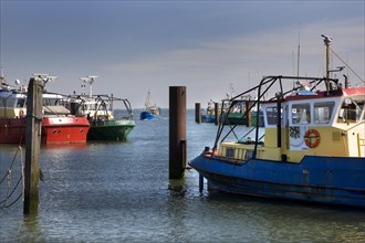 Fishing boats at the Yerseke harbour