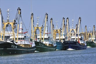 Trawler fishing boats in the harbour of Oudeschild