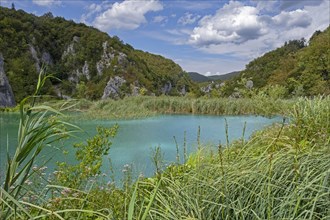 Lake in the Plitvice Lakes National Park