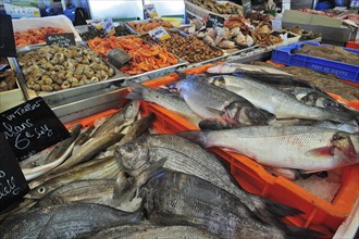 Fresh fish and seafood on display at fish market in the port of Le Treport