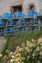 Blue lobster traps