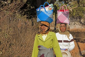 Two Malagasy women with shopping bag on their head walking to the weekly market in Ambalavao