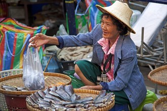 Elderly Thai woman with traditional palm wicker hat selling fish at food market in Ayutthaya