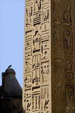 Red granite obelisk of the Luxor Temple in Egypt
