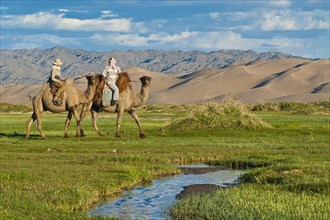 Tourist with Mongolian camel herder riding camels through lush green grassland towards the large sand dunes Khorgoryn Els in the Gobi Desert