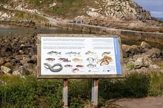 Fish species identification information sign