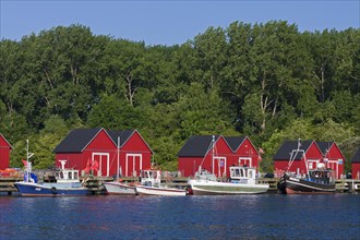 Fishing boats moored in front of red wooden huts in the harbour of Boltenhagen along the Baltic Sea