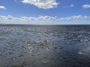 Wadden Sea