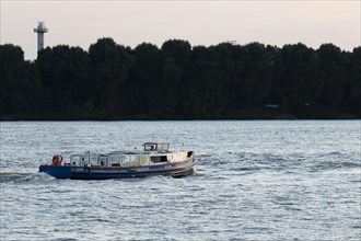The barge Nordsee IV on a harbour cruise in the evening light on the Elbe in the port of Hamburg