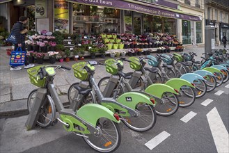 Urban rental bikes on standby in front of a flower shop