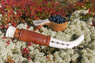 Traditional Sami knife and Scandinavian cup