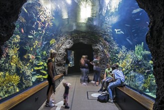 Visitors watching saltwater fishes at Oceanium