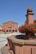 Market square with market fountain and town hall