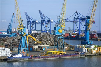 Dock cranes and scrap metal heap in the Aberdeen port