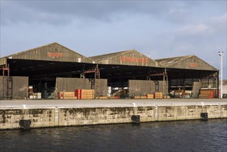 Timber stored in warehouses at Houtimport Lemahieu in the port of Ghent