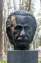 Albert Einstein bust