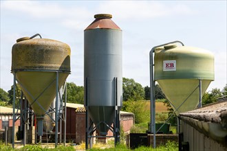 Feed silo containers at pig farm