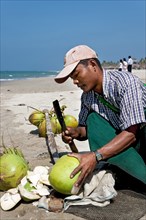 Burmese man opening coconuts on the beach