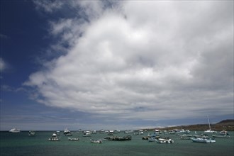 Boats in the Puerto Baquerizo Moreno harbour on the island San Cristobal