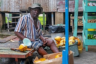 Black man selling coconut juice at market in capital town Port Elizabeth on the island Bequia