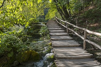 Wooden stairs in the Plitvice Lakes National Park in Lika-Senj County