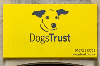 Yellow sign for DogsTrust charity