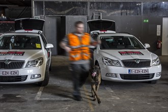 Vehicles of the Securitas K9 Explosive Detection Team and handler with explosive-detection dog