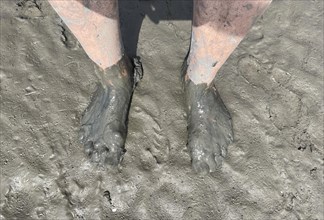Mudflat walk