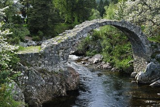 Pack Horse Funeral bridge over the river Dulnain
