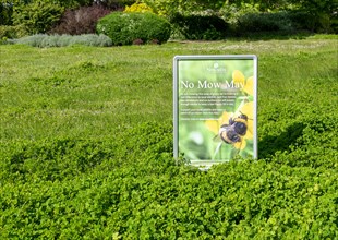 No Mow May sign on un-mown lawn explaining wildlife benefits