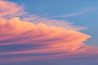 Massive cloud front illuminated by evening sun