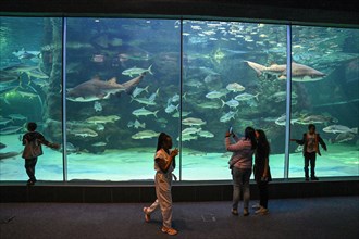 Visitors at the Two Oceans Aquarium