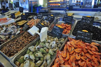 Fresh shellfish and seafood on display at fish market in the port of Le Treport