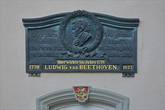 Monument and relief to Ludwig van Beethoven with inscription