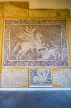Historical Mosaic