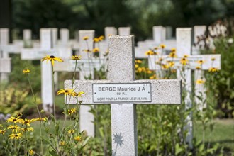Crosses of French graves at the Lijssenthoek Military Cemetery
