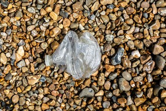 Crushed plastic bottle washed up on shingle beach