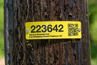 Yellow identification tag label with reference number on electricity pole