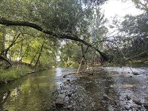 Natural river course