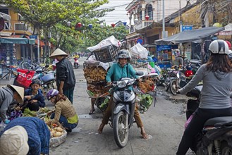 Vietnamese woman riding motorbike heavily laden with chickens for market in the city Hoi An