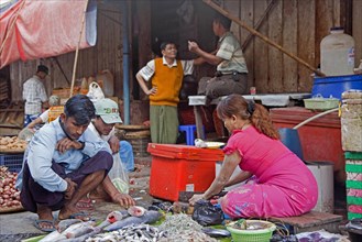 Burmese woman cleaning fish and selling seafood at food market in Yangon