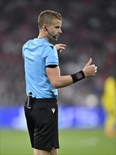 Referee Glen Nyberg gesture