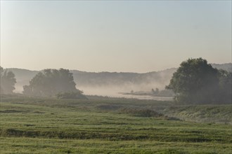 Early morning mist in the Elbe floodplain near Darchau in the Elbe River Landscape UNESCO Biosphere Reserve. Amt Neuhaus