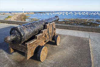 Salvaged 18th century ship's cannon from the Juste