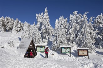 Tourists and frozen snow covered spruce trees in winter at Brocken