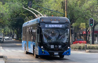 Electric powered modern trolley bus public transport rapid transit system