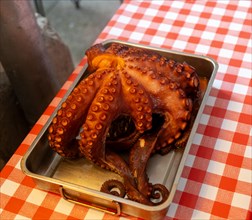 Cooked octopus on display on restaurant table with red and white checked table cloth